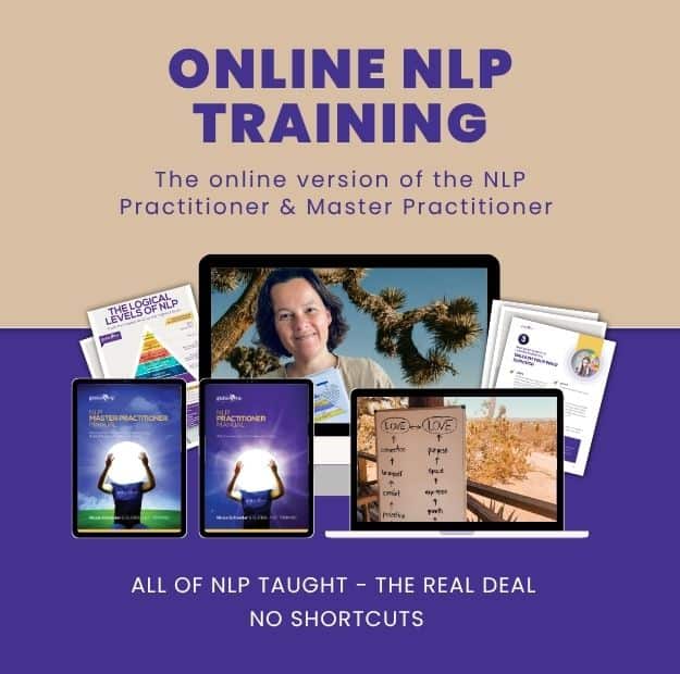 NLP Training Online Society of NLP